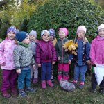 phoca_thumb_m_zmeck krteci 1 Fotogalerie